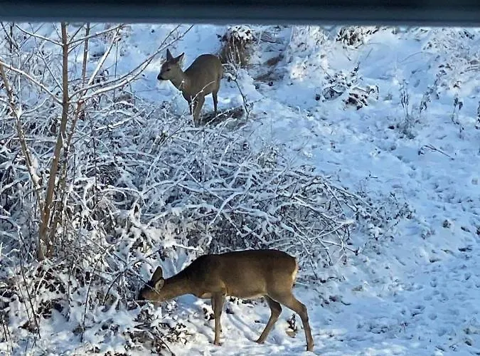 Διαμέρισμα Horyzont 